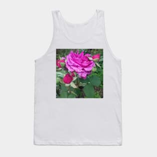 Pink roses photograph Tank Top